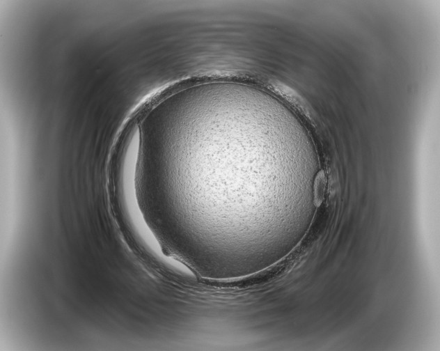 X0000086960680200704301238