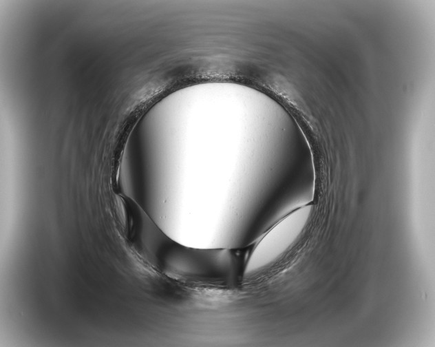 X0000086960681200704301238