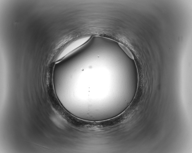 X0000086960683200704301238