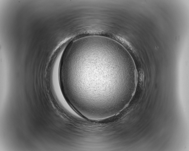 X0000086960684200704301238