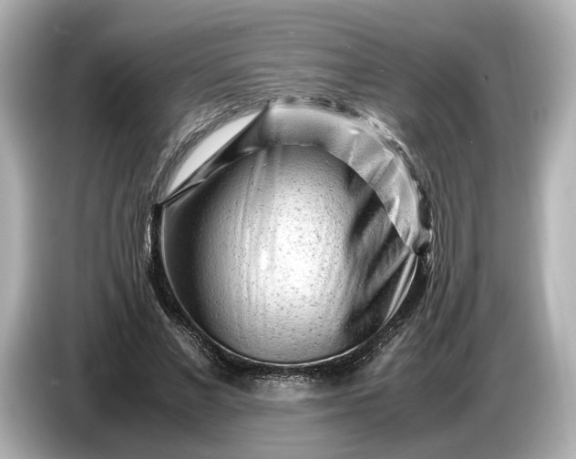 X0000086960685200704301238