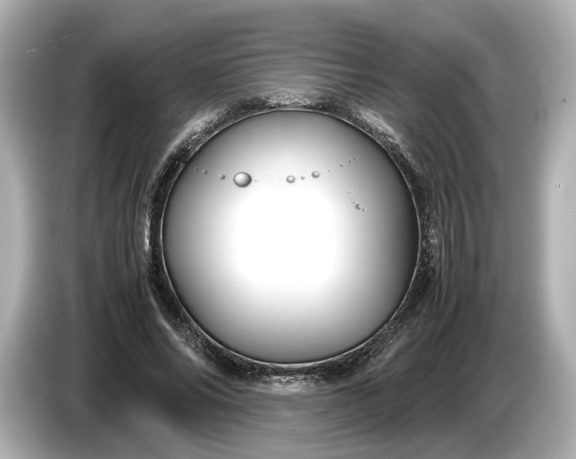 X0000086960686200704301238