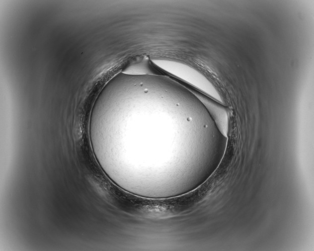 X0000086960687200704301238
