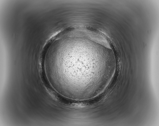 X0000086960688200704301238
