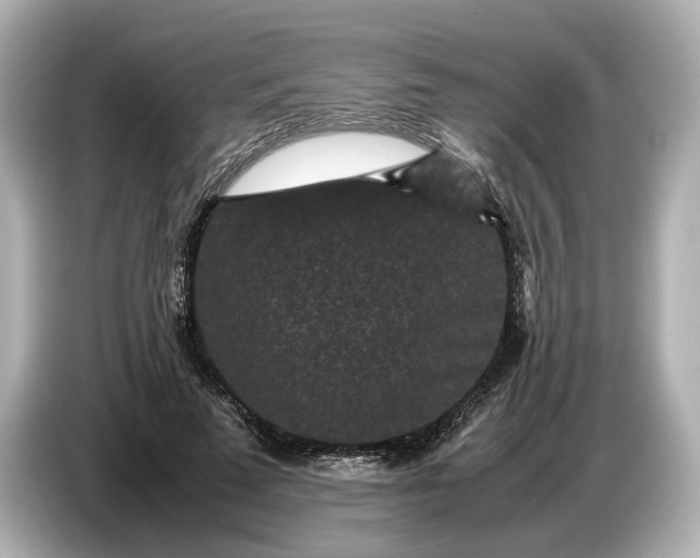 X0000086960689200704301238