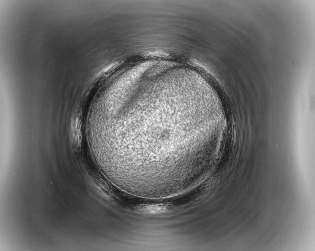 X0000086960692200704301238