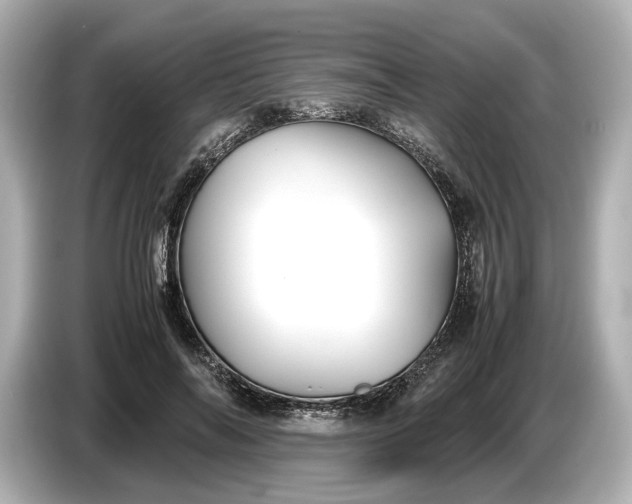 X0000086960694200704301238