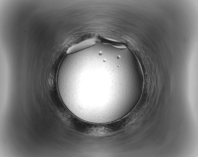 X0000086960695200704301238