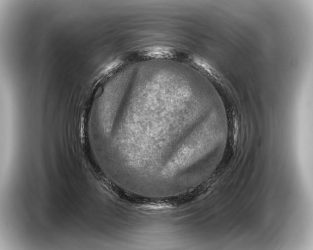 X0000086960696200704301238