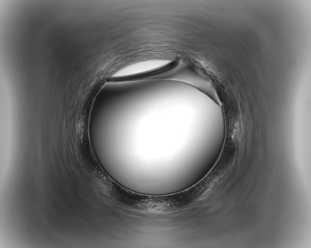 X0000086960697200704301238