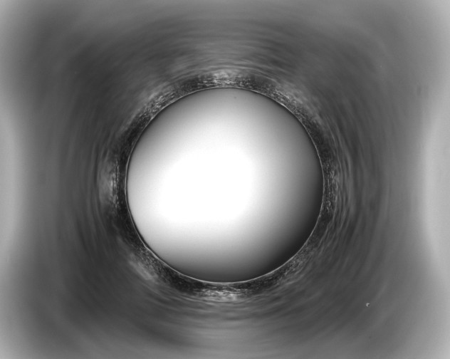 X0000086960698200704301238