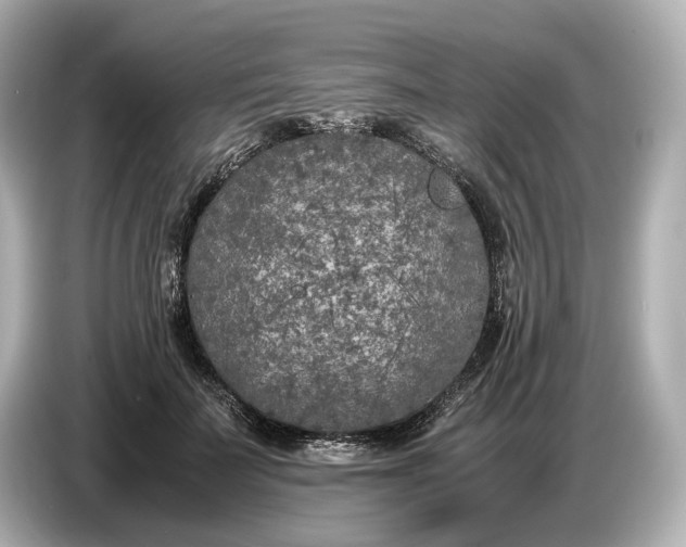 X0000086960699200704301238