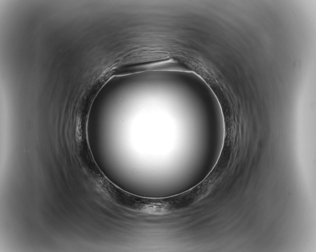 X0000086960700200704301238