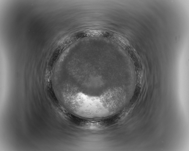 X0000086960701200704301238