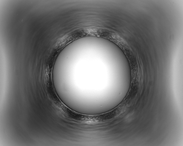 X0000086960702200704301238