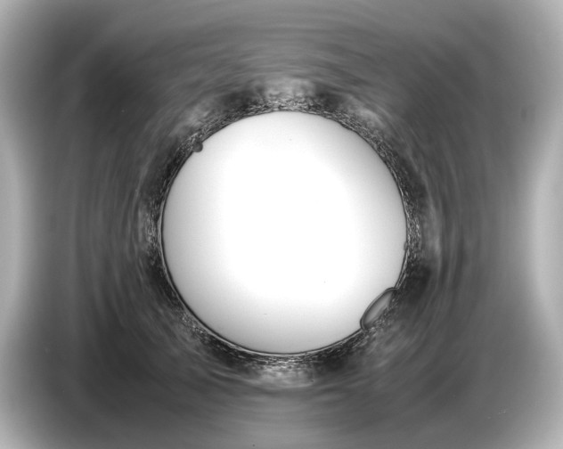 X0000086960705200704301238