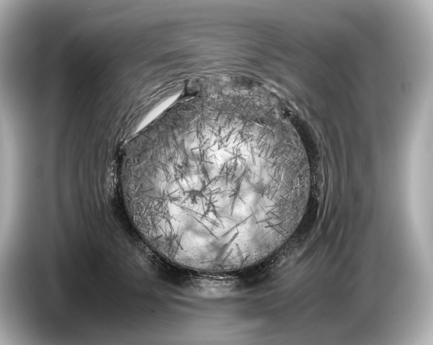 X0000086960707200704301238