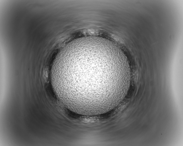 X0000086960709200704301238