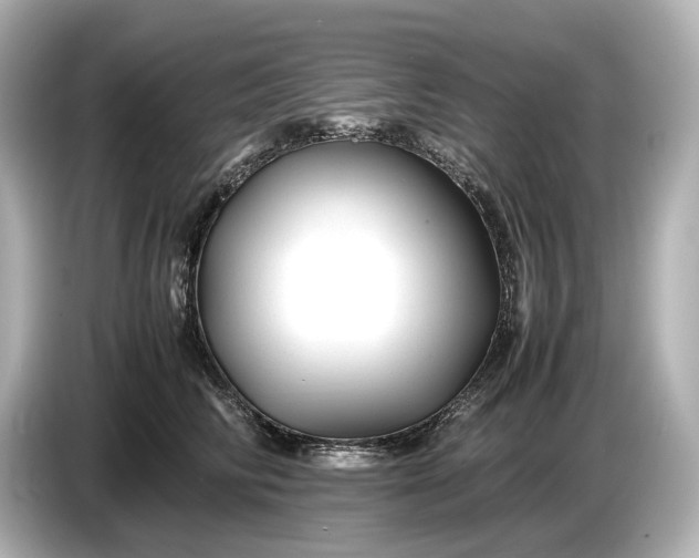 X0000086960710200704301238