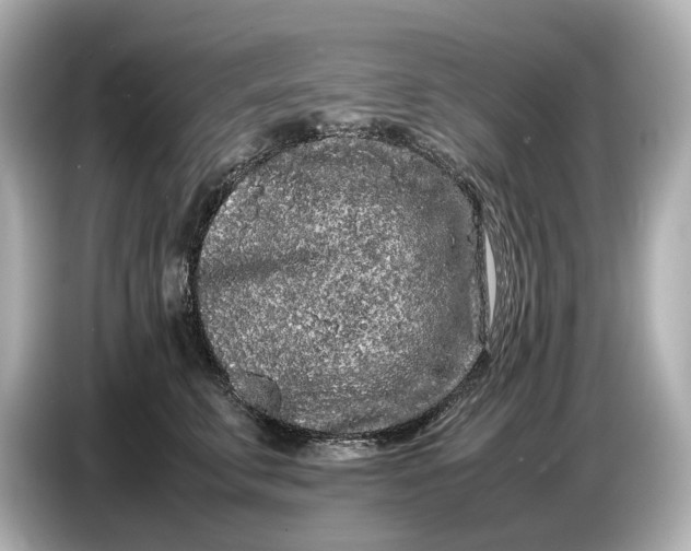 X0000086960711200704301238