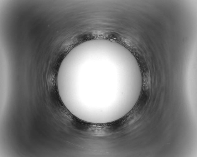 X0000086960713200704301238