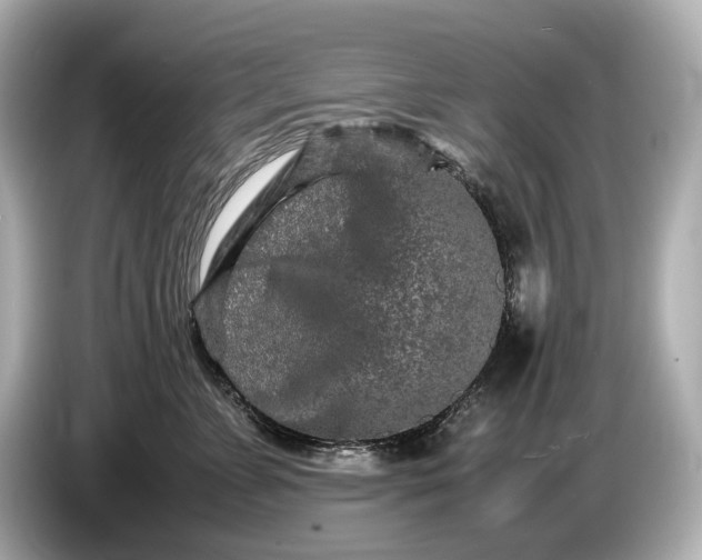 X0000086960715200704301237