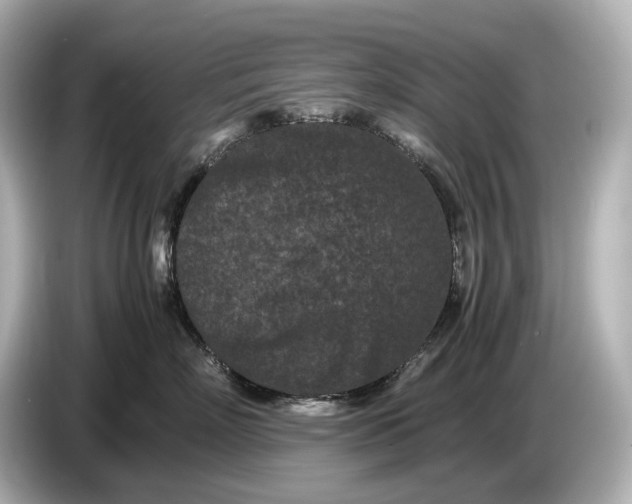 X0000086960718200704301237