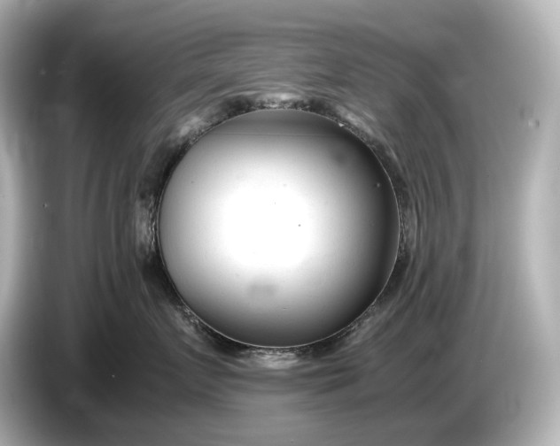 X0000086960719200704301237