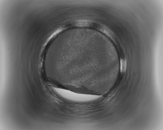 X0000086960723200704301237
