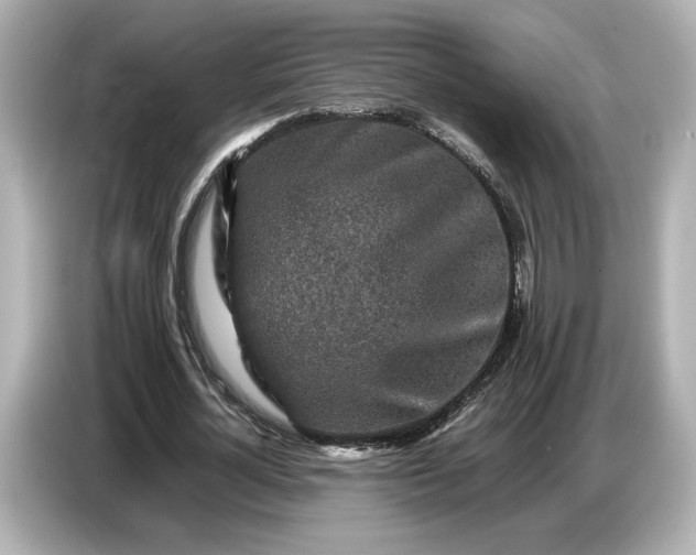 X0000086960724200704301237