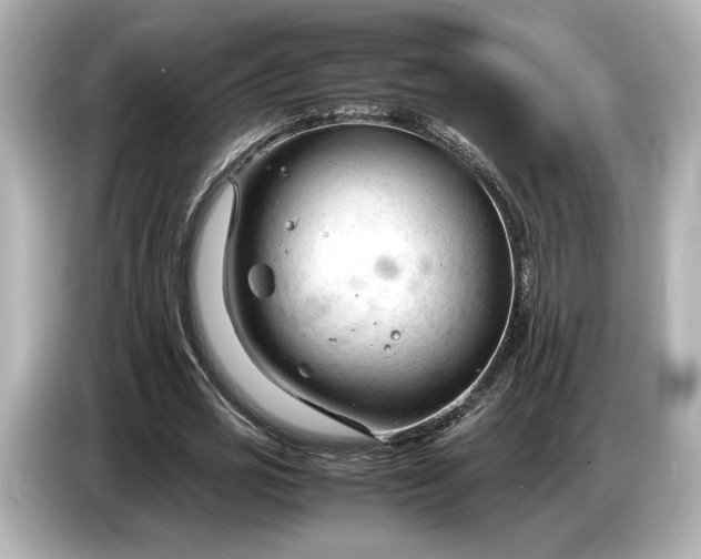 X0000086960725200704301237