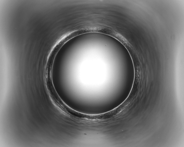 X0000086960726200704301237