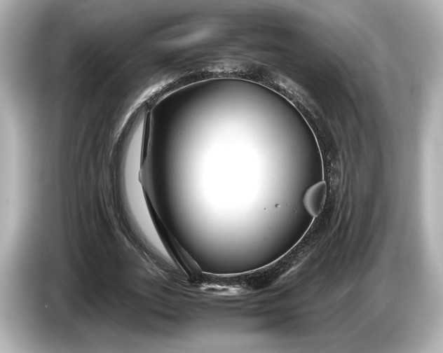 X0000086960727200704301237