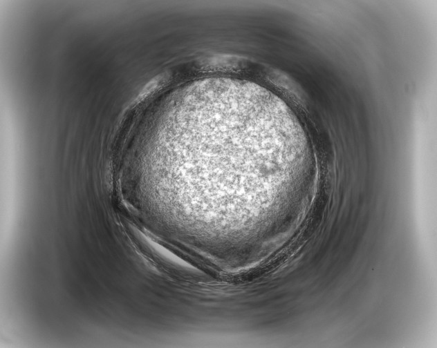 X0000086960729200704301237