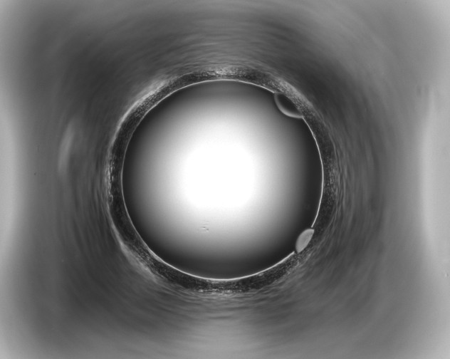 X0000086960730200704301237
