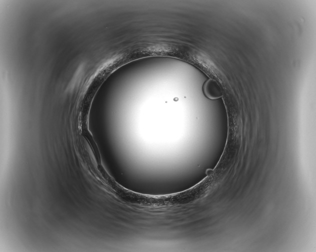 X0000086960731200704301237