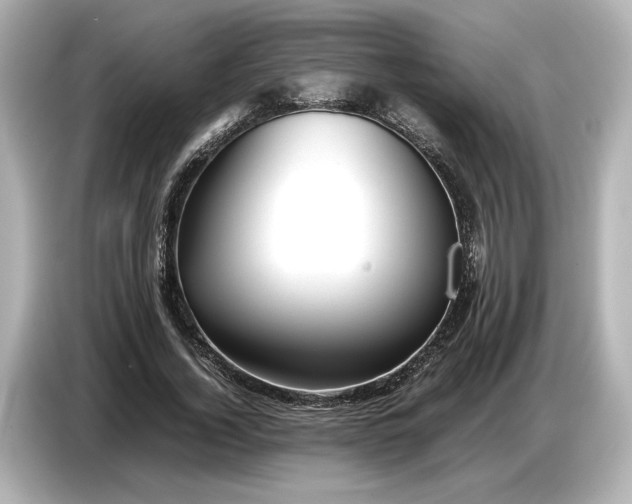 X0000086960732200704301237