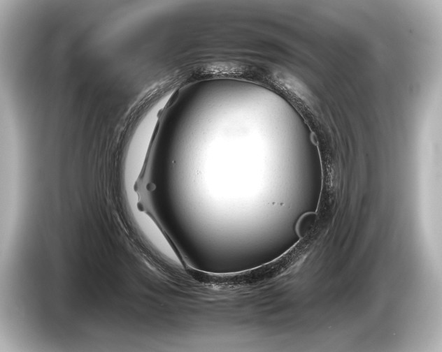 X0000086960733200704301237