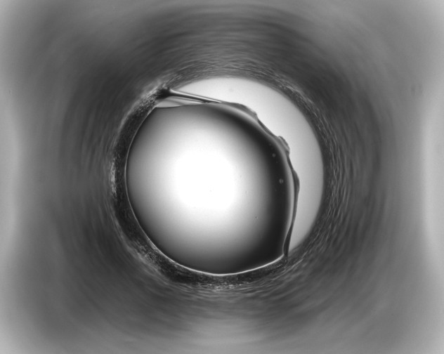 X0000086960734200704301237