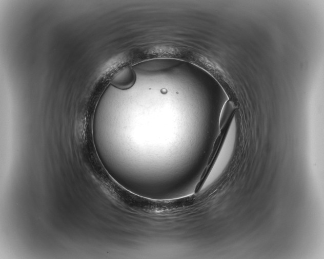 X0000086960735200704301237
