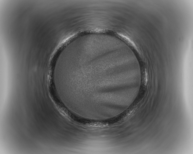 X0000086960736200704301237