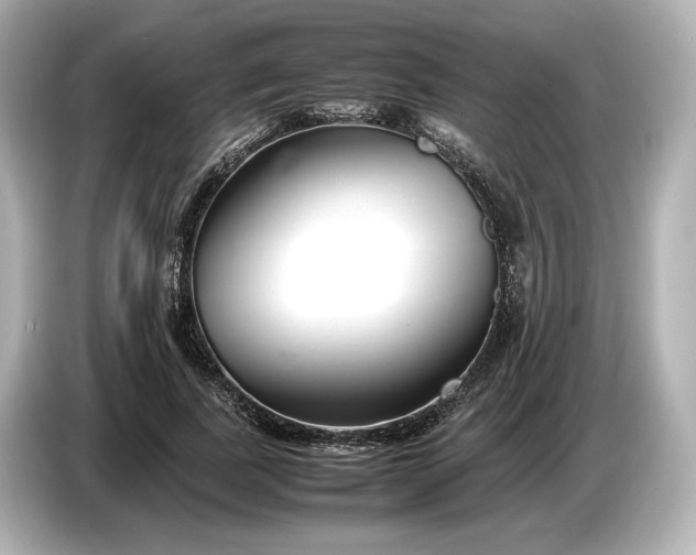 X0000086960739200704301237