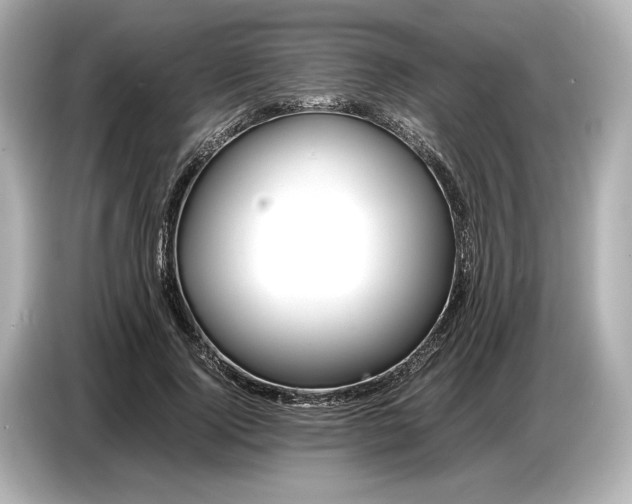 X0000086960740200704301237