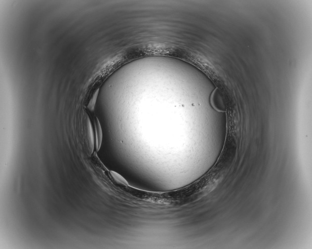 X0000086960742200704301237