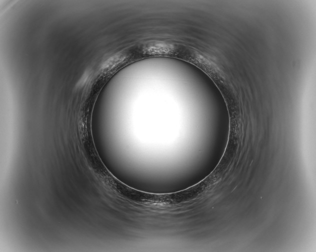 X0000086960743200704301237