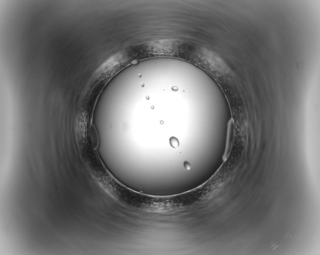 X0000086960744200704301237