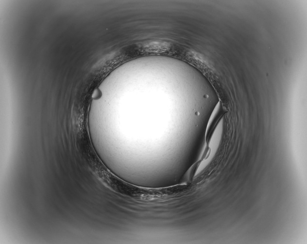 X0000086960745200704301237