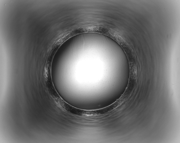 X0000086960746200704301237