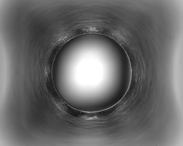 X0000086960747200704301237