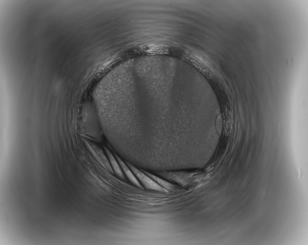 X0000086960748200704301237
